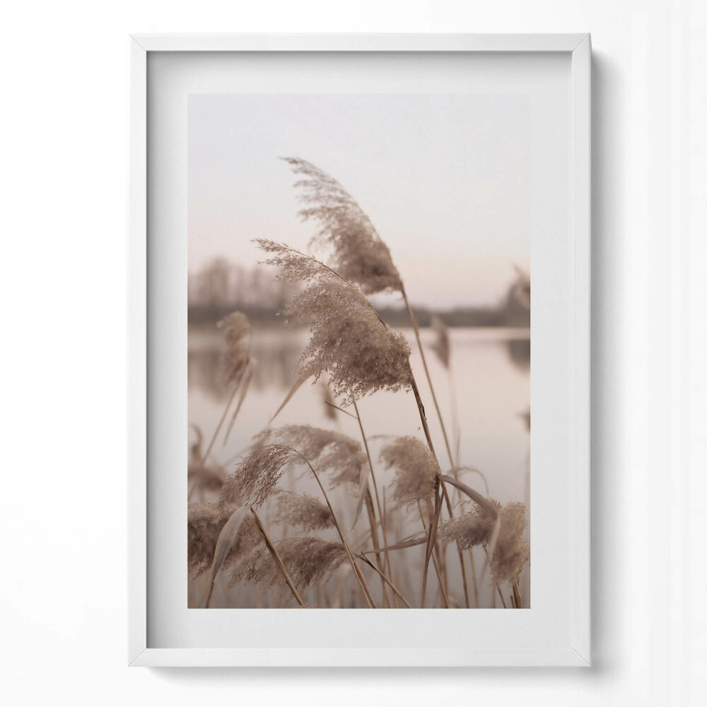 Függőleges kép keretben Növények a vízparton