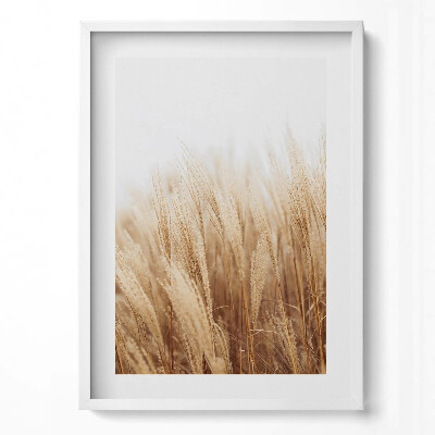 Függőleges kép keretben Sárgás fűtípusú növények