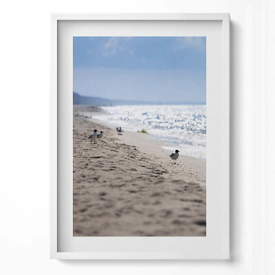 Függőleges kép keretben Tengerparti táj madár a homokban