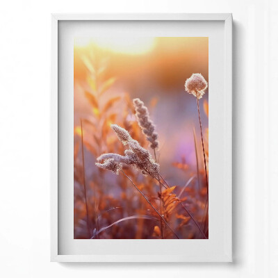 Függőleges kép keretben Puha fűszálak napfényben