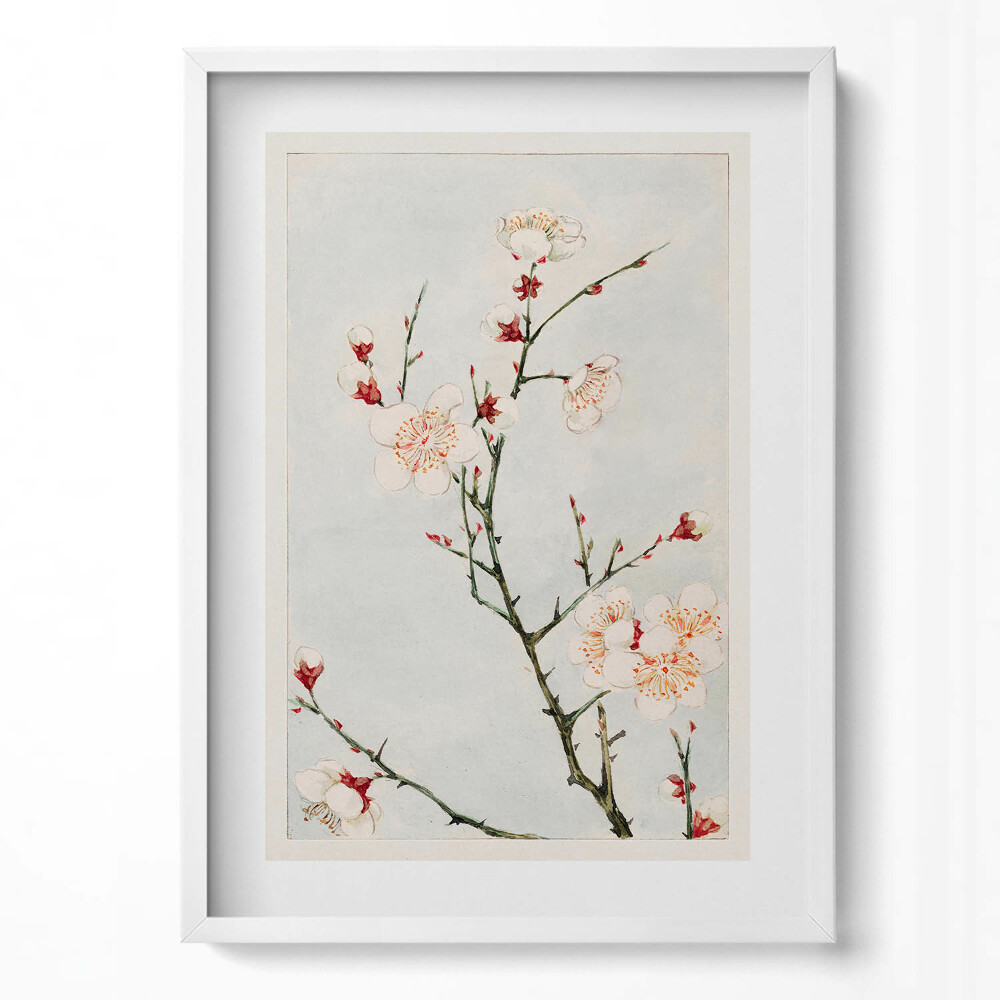 Függőleges kép keretben Virágzó ágak fehér virágokkal