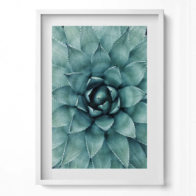 Függőleges kép keretben Zöld színű pozsgás növény