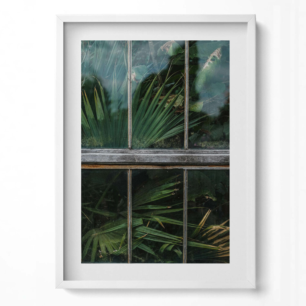 Függőleges kép keretben Zöld növények ablakon keresztül