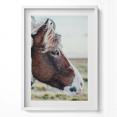 Függőleges kép keretben Lófej profilja természetes háttérben