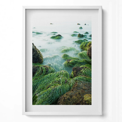 Függőleges kép keretben Tengerparti zöld növényzet