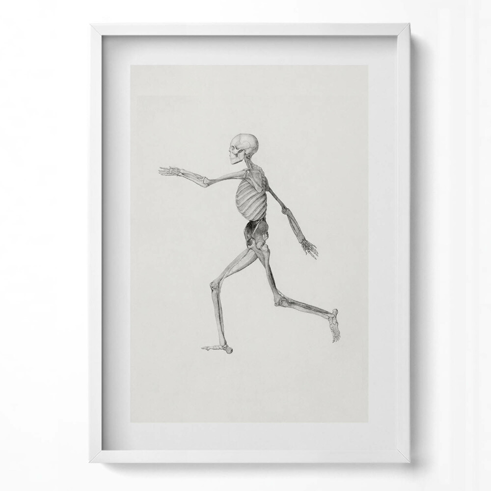 Függőleges kép keretben Futó emberi csontváz