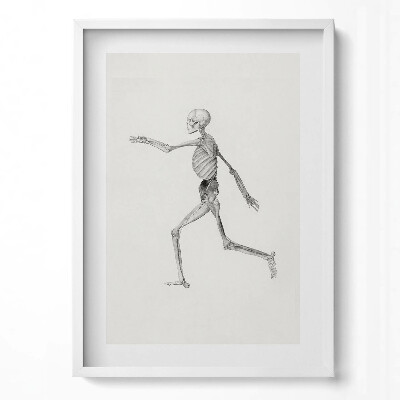 Függőleges kép keretben Futó emberi csontváz