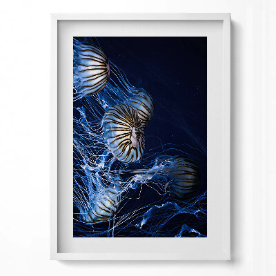 Függőleges kép keretben Medúzák sötét háttér előtt