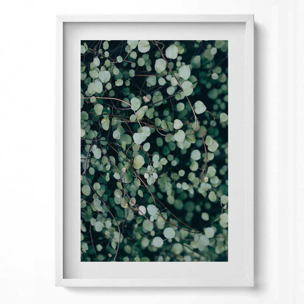 Függőleges kép keretben Zöld levelek és hajtások