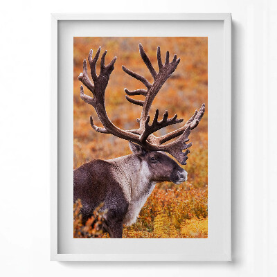 Függőleges kép keretben Szarvas agancsos állat