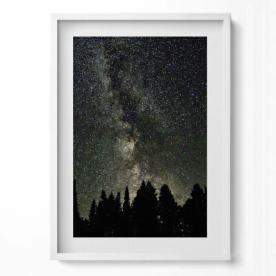 Függőleges kép keretben Csillagos égbolt erdősilhuettel