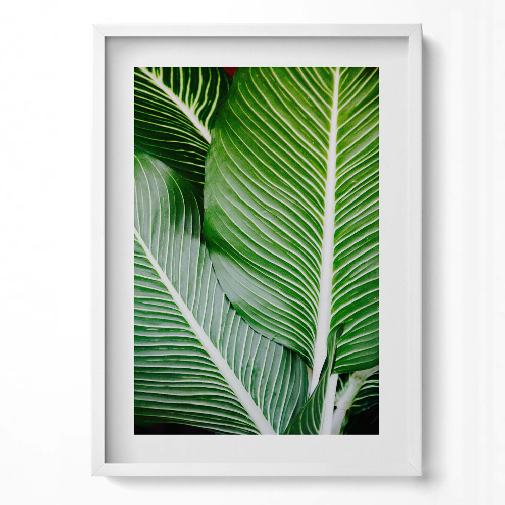 Függőleges kép keretben Zöld levelek közelről