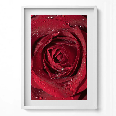 Függőleges kép keretben Vörös rózsa cseppekkel