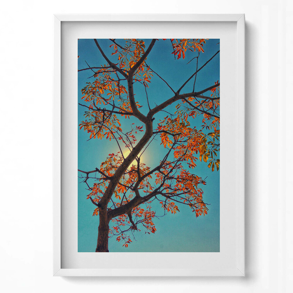 Függőleges kép keretben Őszi falevelek és napfény