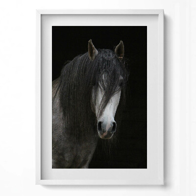 Függőleges kép keretben Fekete hajú ló portréja