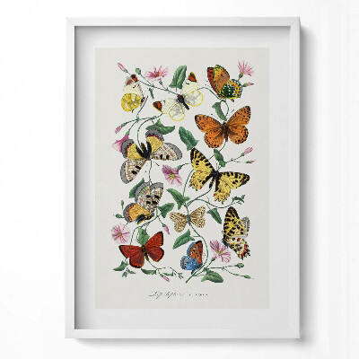 Függőleges kép keretben Színes pillangók és virágok