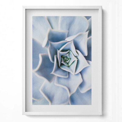 Függőleges kép keretben Kék színű spirálisan elrendezett virág