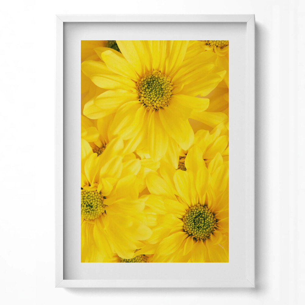 Függőleges kép keretben Sárga virágok közelről
