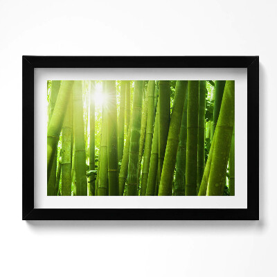Kép keretben Zöld bambuszszárak
