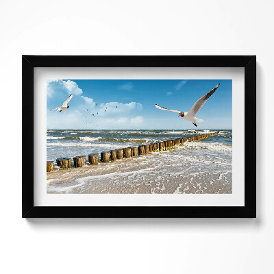 Keretezett kép Madár a tengerparton