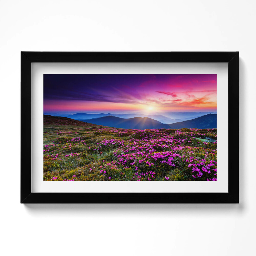 Kép keretben Napfelkelte virágai