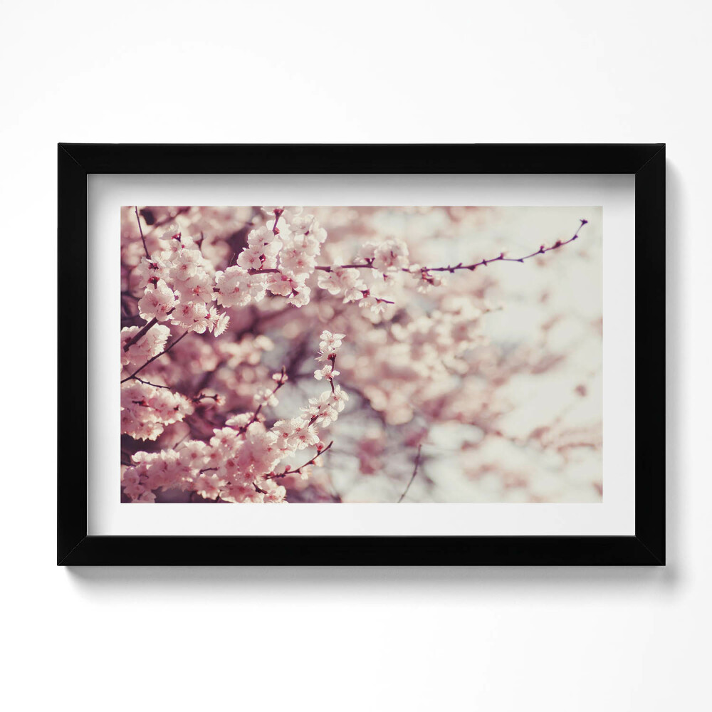 Kép keretben Virágzó tavaszi virágok