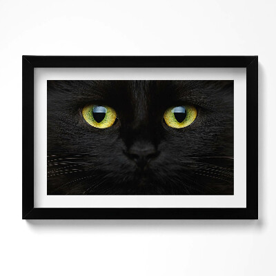 Keretezett kép Macskaszem állat