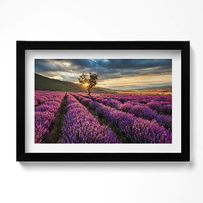 Kép keretben Levendulamező tájképe