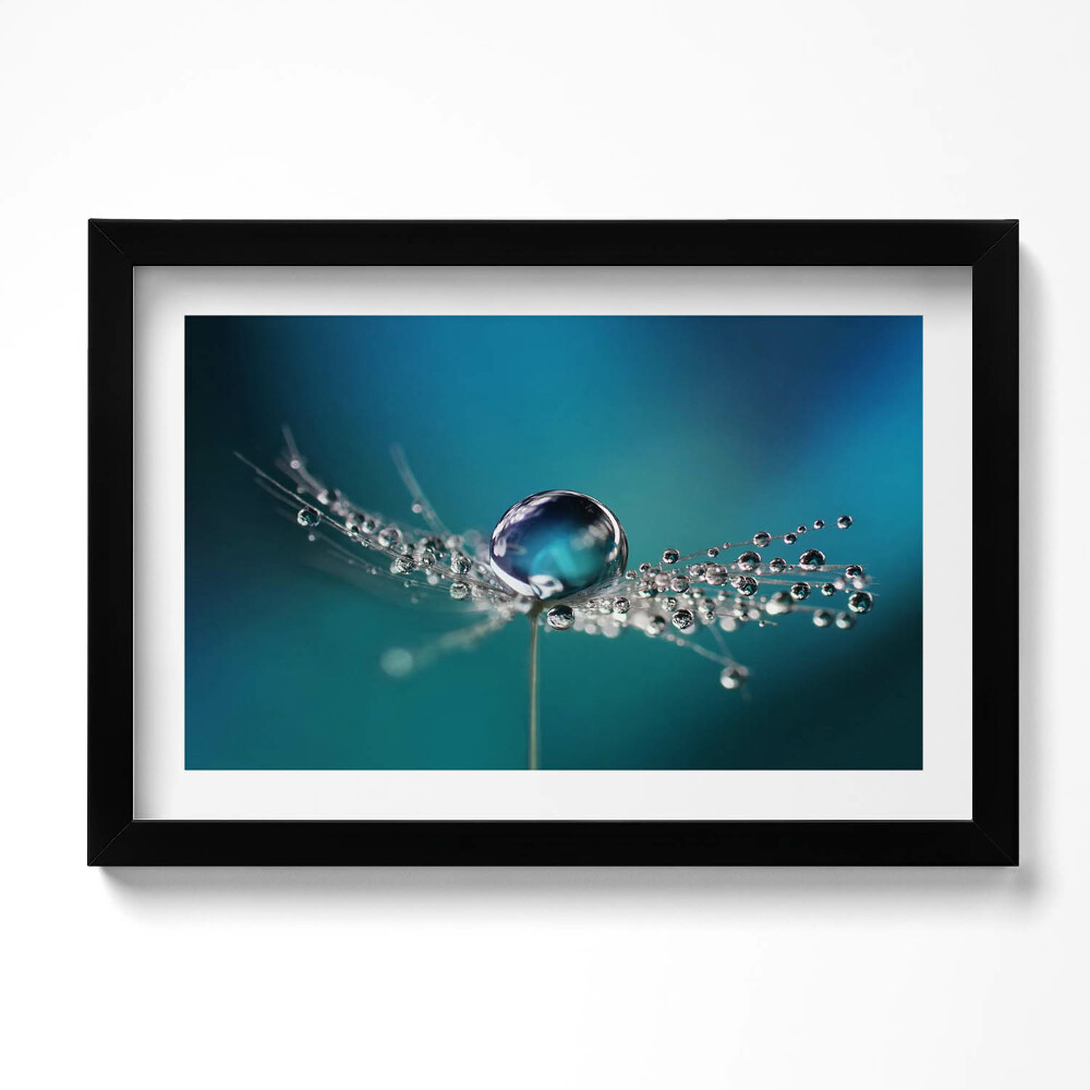 Kép keretben Harmatcseppek on a dandelion