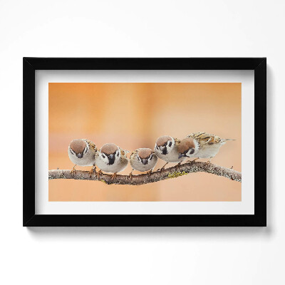 Keretezett kép Madarak egy ágon