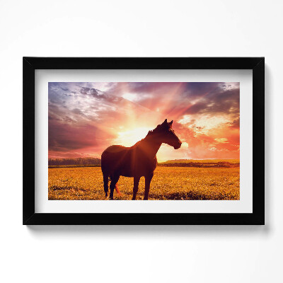 Keretezett kép Ló egy mezőn naplementében