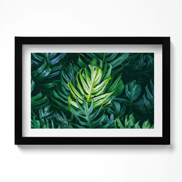 Kép keretben Trópusi természet - Monstera levelek