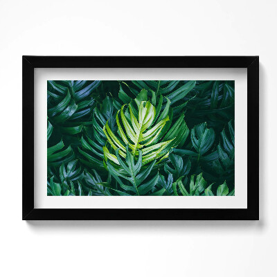 Kép keretben Trópusi természet - Monstera levelek