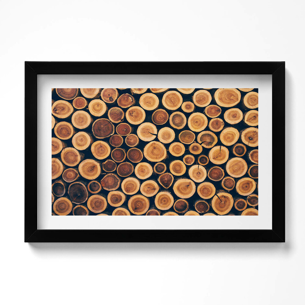 Kép keretben Wood, Fatörzsek