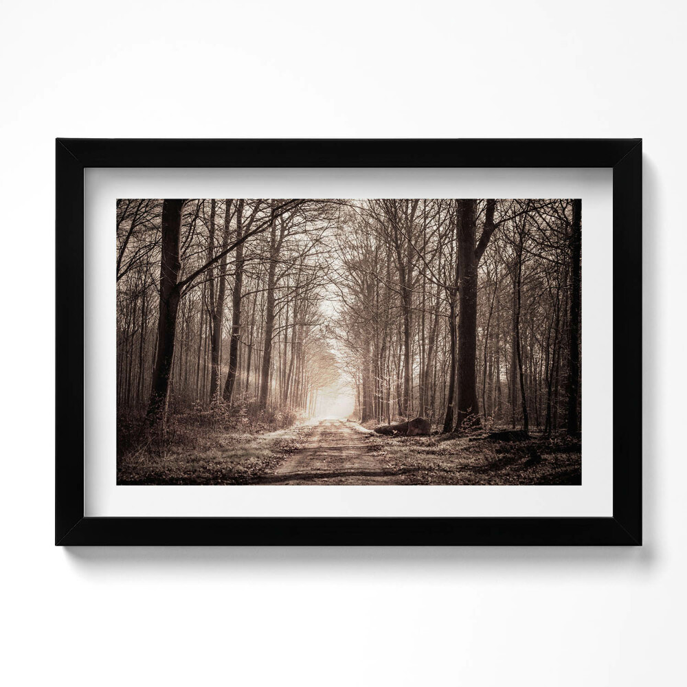 Kép keretben Erdei ösvény szepia színekben