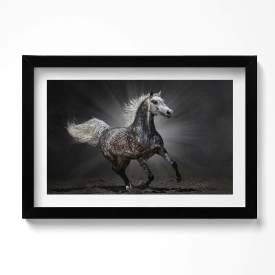 Kép keretben Galoppozó ló