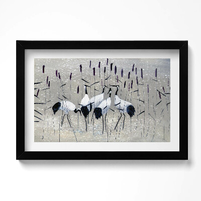 Keretezett kép Darvak a nádasban