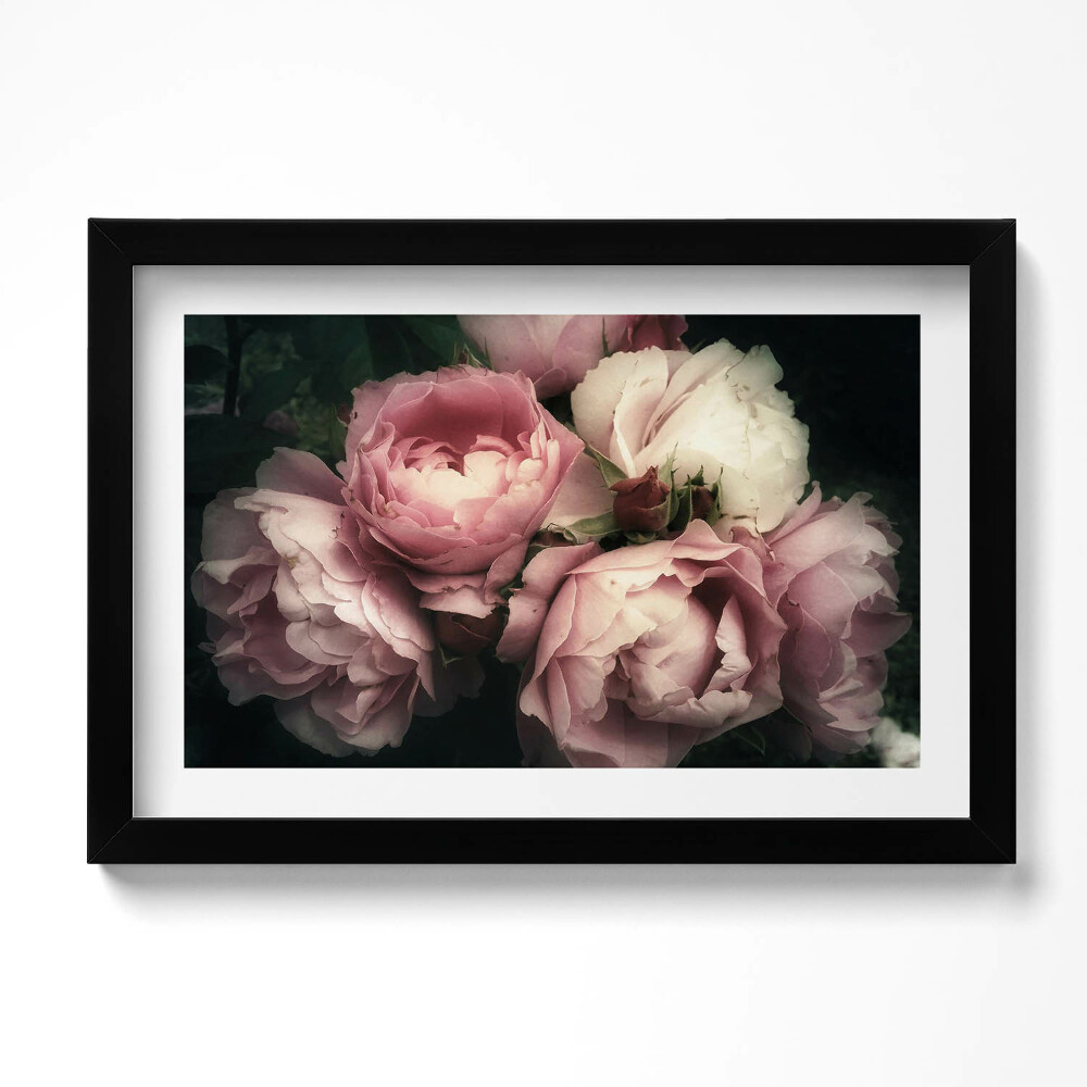 Kép keretben Csokor rózsaszín szüreti rózsa