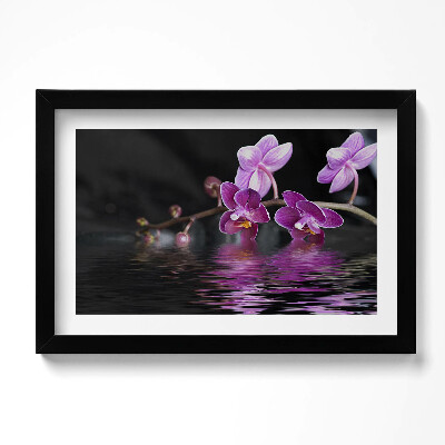 Kép keretben Rózsaszín orchidea virág a vízen