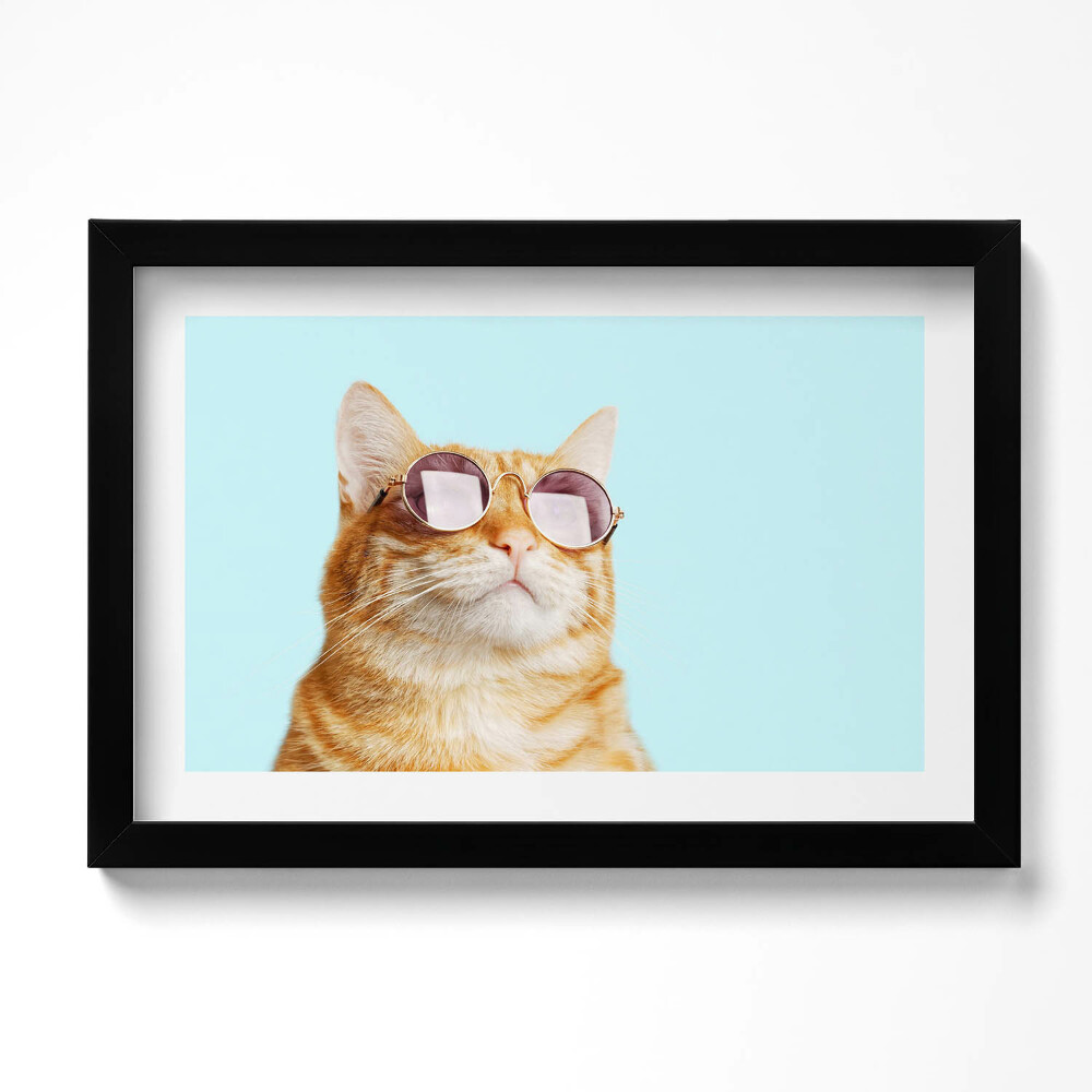 Kép keretben Vicces szemüveges macska