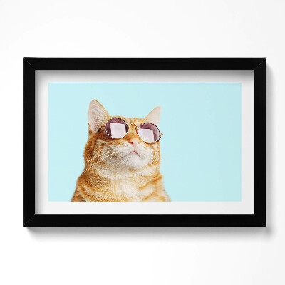 Kép keretben Vicces szemüveges macska