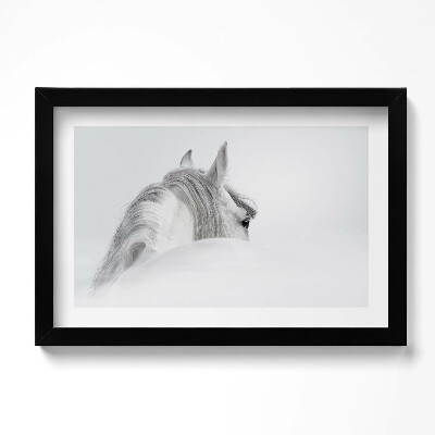 Kép keretben Andalúziai ló a ködben