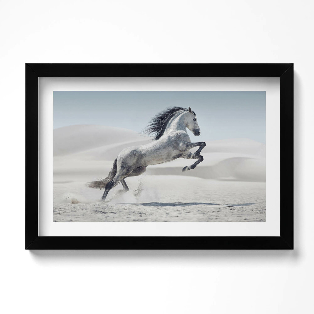 Keretezett kép Galoppozó fehér ló