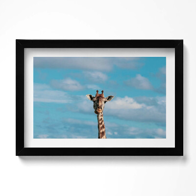 Kép keretben Zsiráffej az égbolton