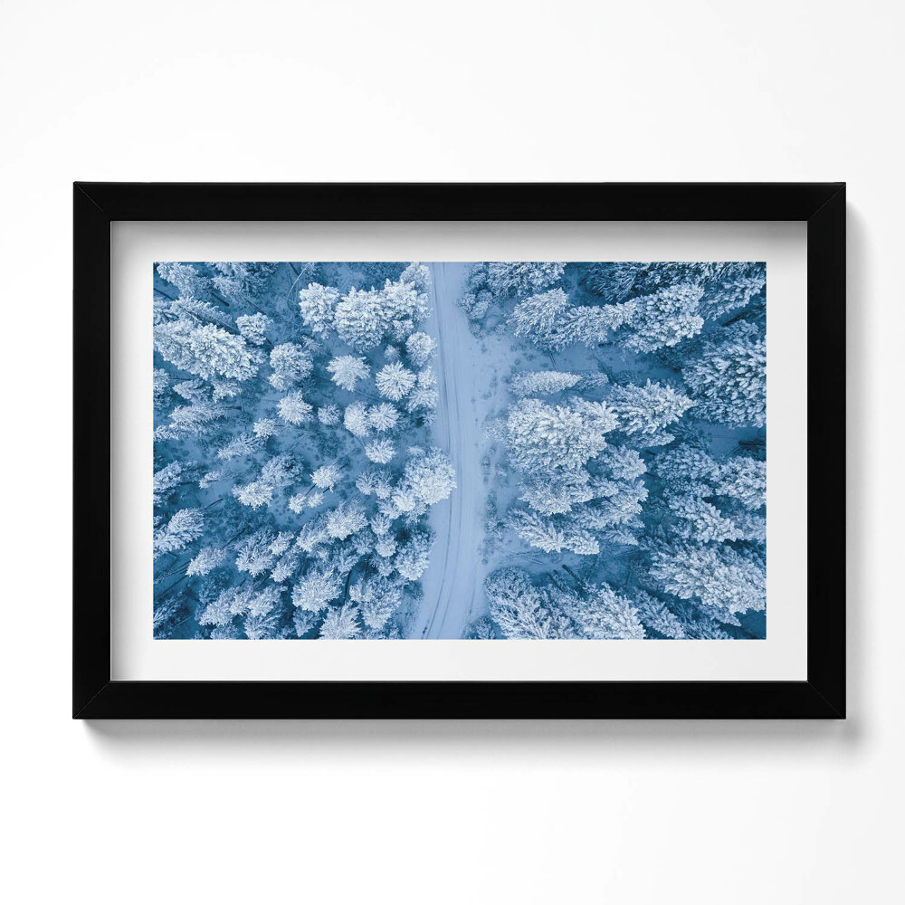 Keretezett kép Erdő madártávlatból Drón