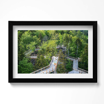 Keretezett kép Egy ösvény Krynica Zdrójban