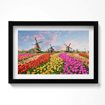 Keretezett kép Tájkép tulipánokkal Hollandia