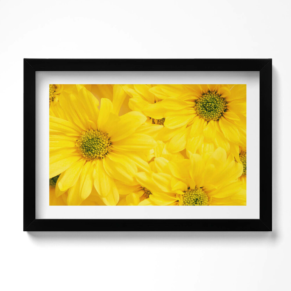 Keretezett kép Virágszirmok