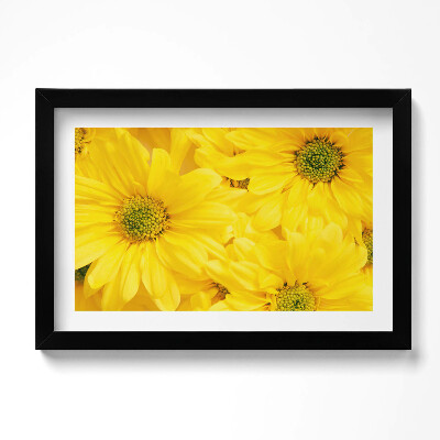 Keretezett kép Virágszirmok