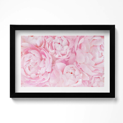 Keretezett kép Finom bazsarózsák
